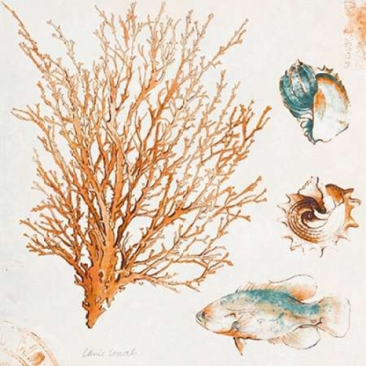 Coastal Teal Coral IV Poster Print by Lanie Loreth - Item # VARPDX8599EE
